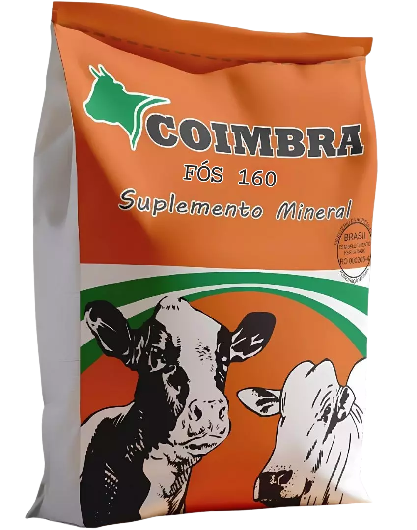 Imagem de Coimbra Fós 160