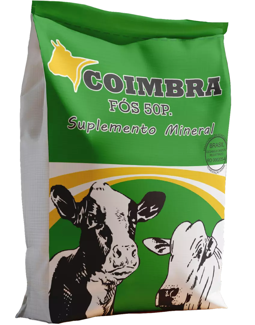 Imagem de Coimbra 50 P. R/A Leite e Corte