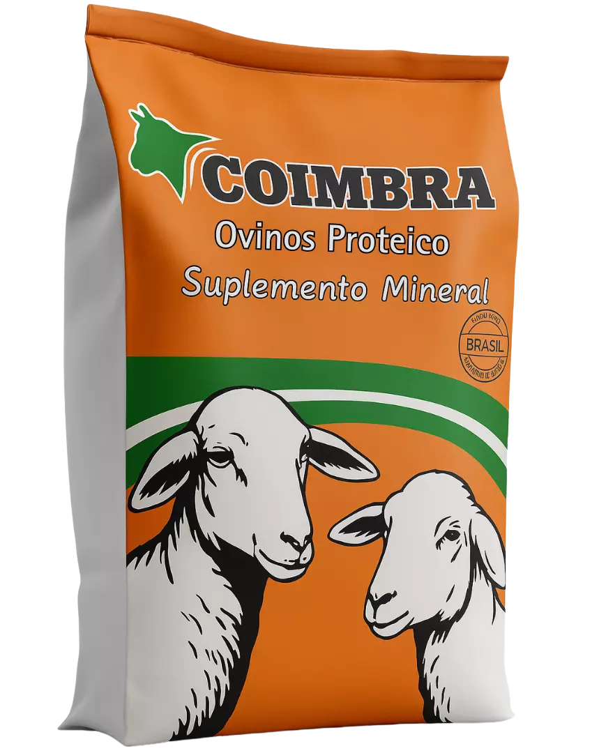 Imagem de Coimbra Fós Ovinos