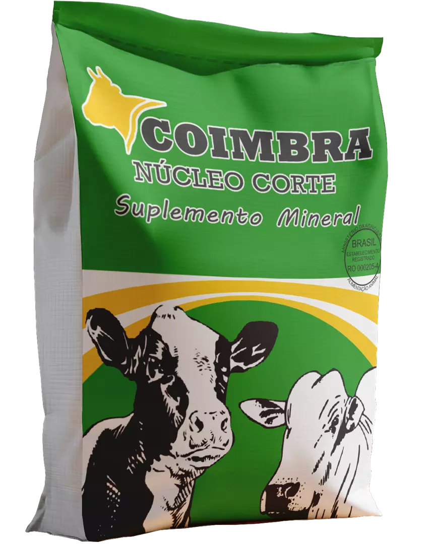 Imagem de Coimbra Núcleo Corte