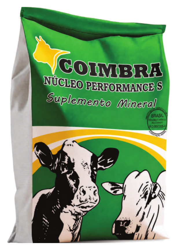 Coimbra Núcleo Performance S